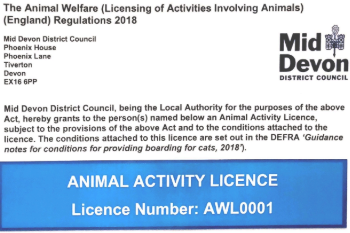 Mid Devon Animal Activity Licence AWL0001